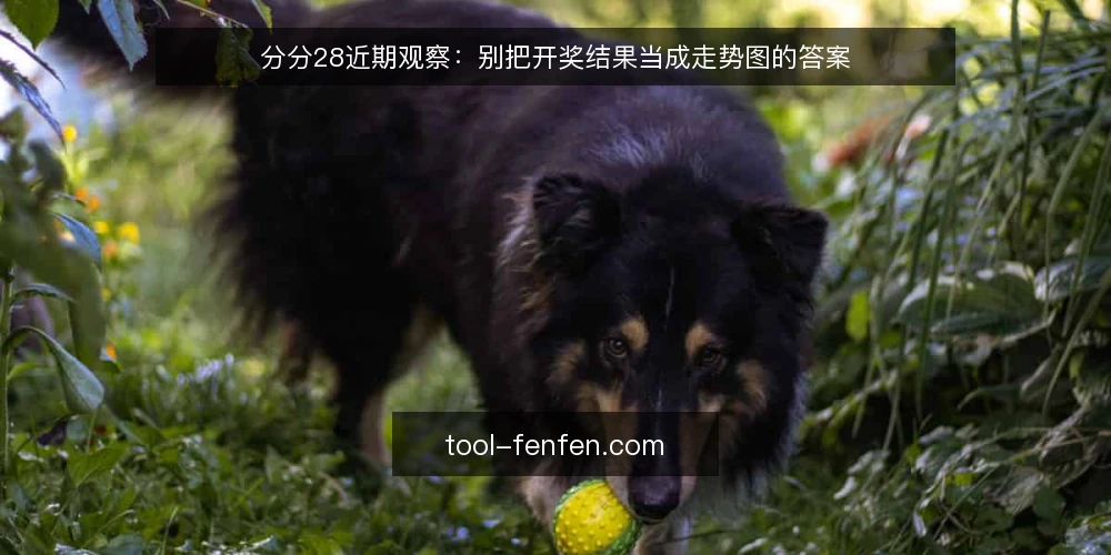 分分28近期观察:别把开奖结果当成走势图的答案 — 近期讨论里的一个共同误读 配图